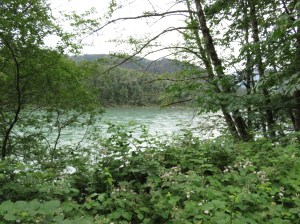Skagit River